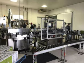 葡萄酒莊 橄欖油廠 商貿(mào)會 一次旅程看遍多元投資項目