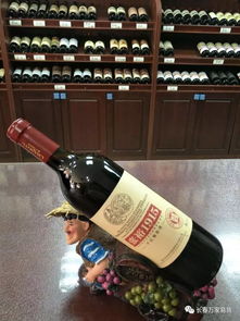 精品推薦 日常消費(fèi)類